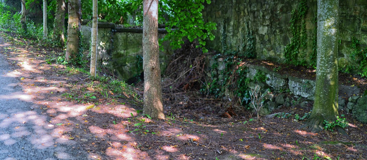 MILLTOWN LINEAR PARK NEAR THE TRAM STOP  010