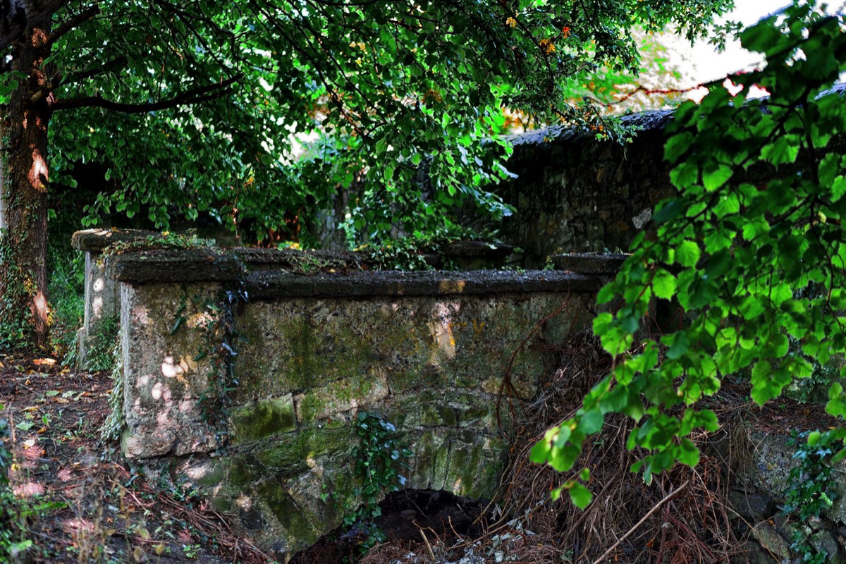 MILLTOWN LINEAR PARK NEAR THE TRAM STOP  011