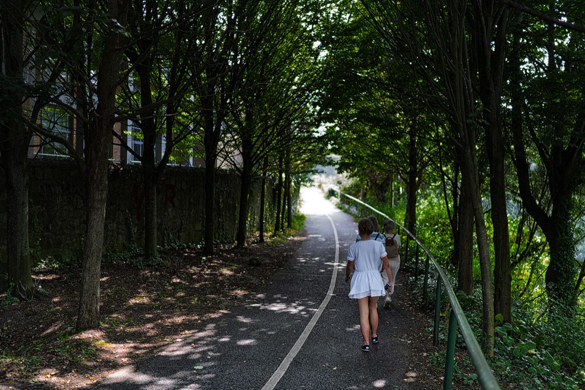 MILLTOWN LINEAR PARK NEAR THE TRAM STOP  013