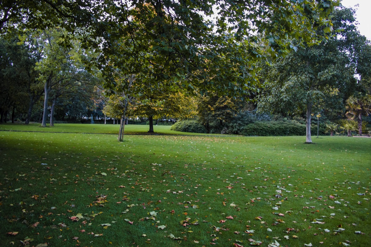 6 OCTOBER 2020 VISIT TO MERRION SQUARE PUBLIC PARK 002