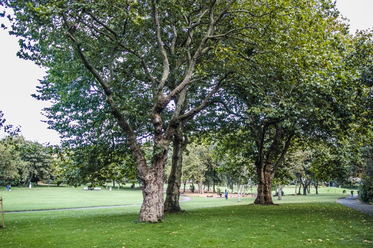 6 OCTOBER 2020 VISIT TO MERRION SQUARE PUBLIC PARK 003