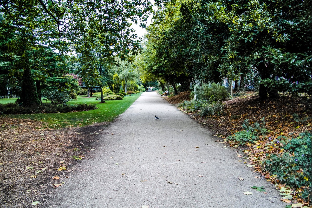 6 OCTOBER 2020 VISIT TO MERRION SQUARE PUBLIC PARK 009