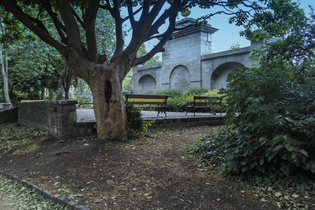 MERRION SQUARE PUBLIC PARK IN JUNE 004