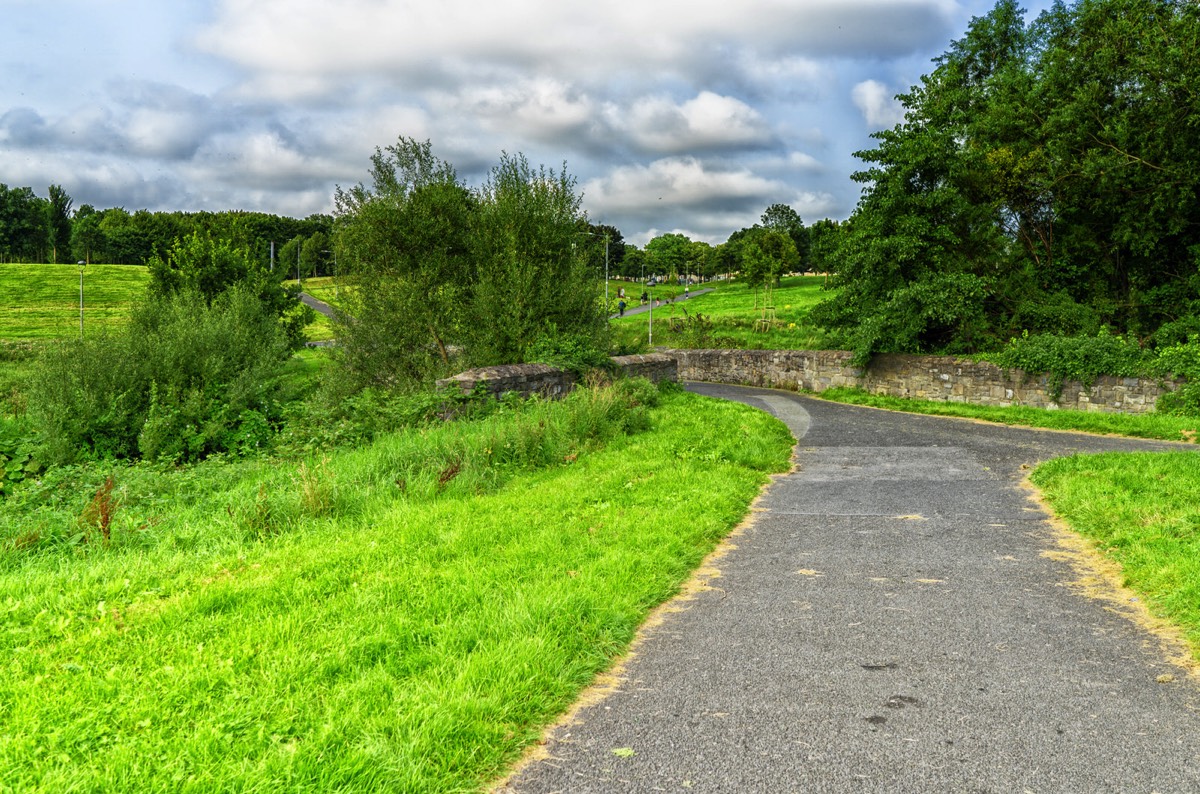 TOLKA VALLEY PARK  NEAR BROOMBRIDGE LUAS STOP - MY FIRST VISIT 003