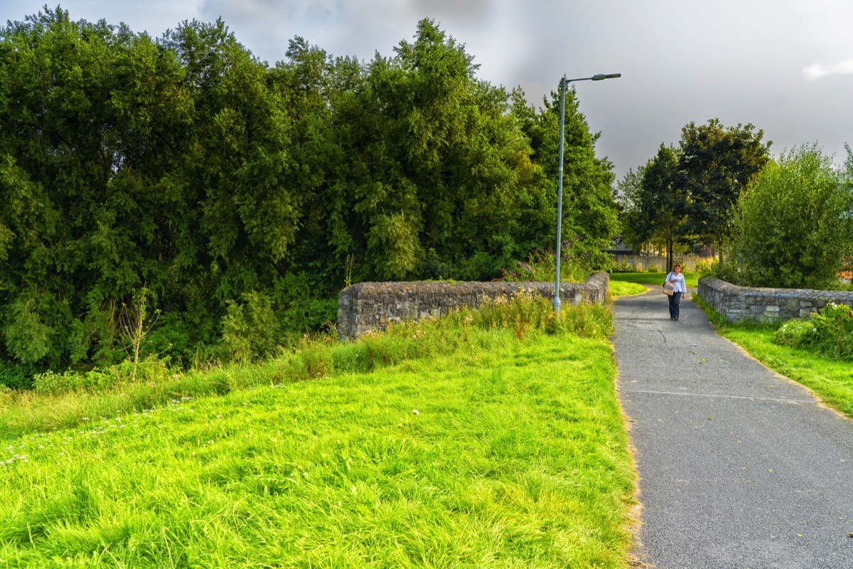 TOLKA VALLEY PARK  NEAR BROOMBRIDGE LUAS STOP - MY FIRST VISIT 007