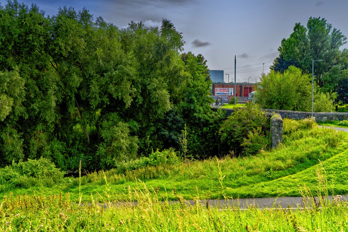 TOLKA VALLEY PARK  NEAR BROOMBRIDGE LUAS STOP - MY FIRST VISIT 010