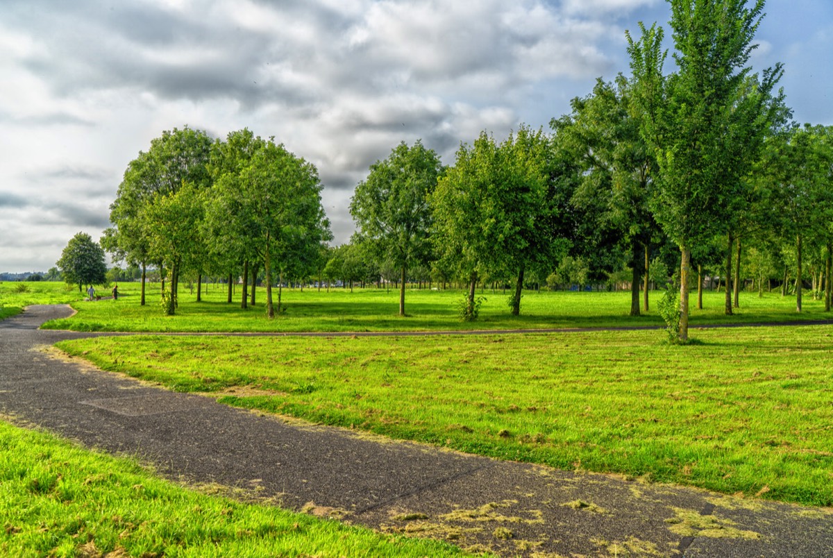 TOLKA VALLEY PARK  NEAR BROOMBRIDGE LUAS STOP - MY FIRST VISIT 012