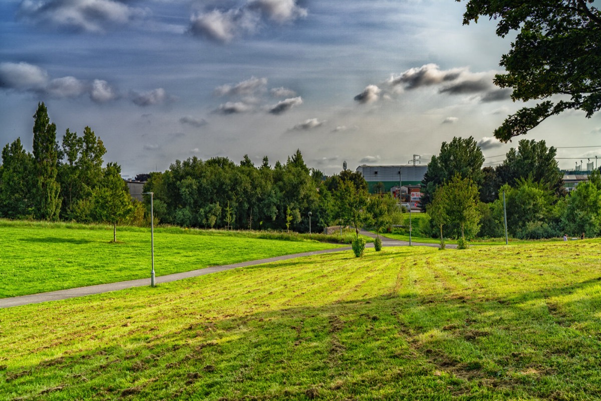 TOLKA VALLEY PARK  NEAR BROOMBRIDGE LUAS STOP - MY FIRST VISIT 016