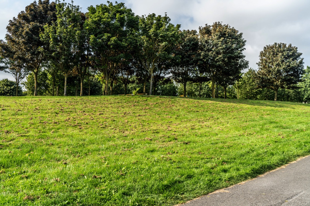 TOLKA VALLEY PARK  NEAR BROOMBRIDGE LUAS STOP - MY FIRST VISIT 021