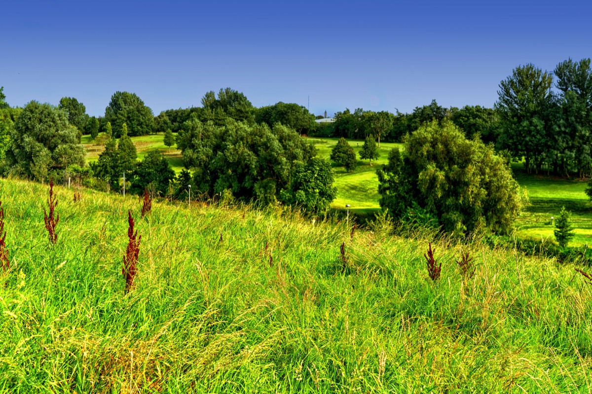 TOLKA VALLEY PARK  NEAR BROOMBRIDGE LUAS STOP - MY FIRST VISIT 025