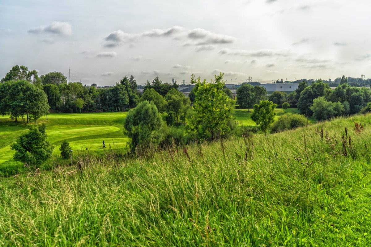 TOLKA VALLEY PARK  NEAR BROOMBRIDGE LUAS STOP - MY FIRST VISIT 029