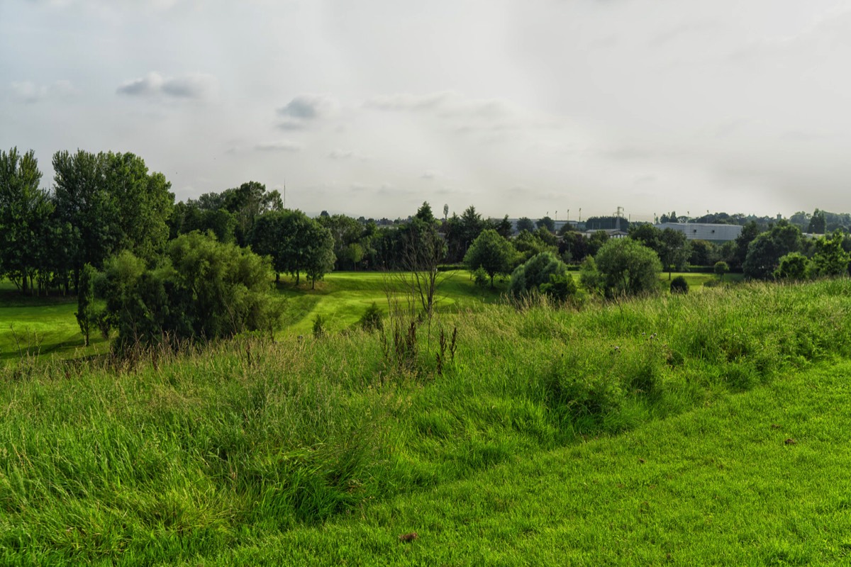 TOLKA VALLEY PARK  NEAR BROOMBRIDGE LUAS STOP - MY FIRST VISIT 030