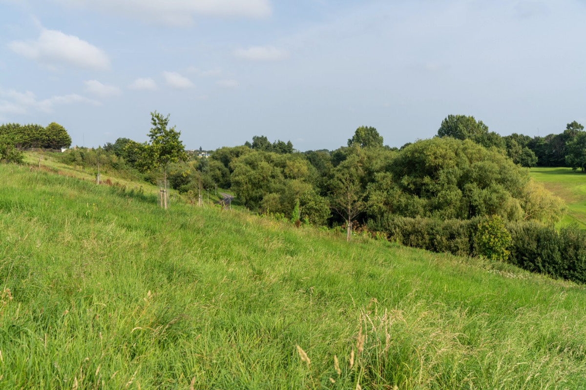 TOLKA VALLEY PARK  NEAR BROOMBRIDGE LUAS STOP - MY FIRST VISIT 033