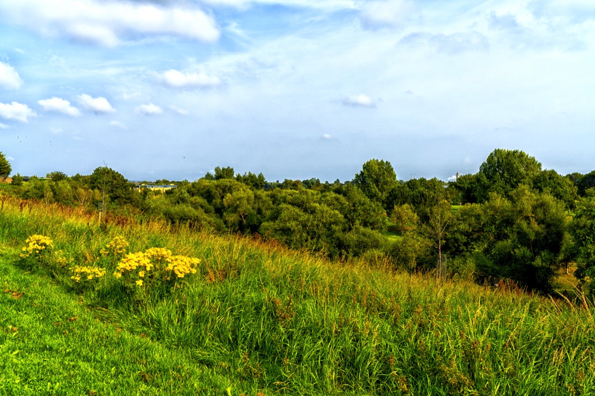 TOLKA VALLEY PARK  NEAR BROOMBRIDGE LUAS STOP - MY FIRST VISIT 037