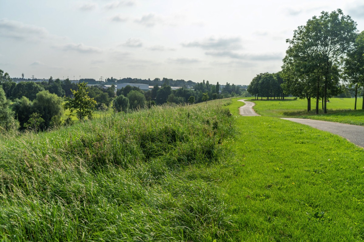 TOLKA VALLEY PARK  NEAR BROOMBRIDGE LUAS STOP - MY FIRST VISIT 038