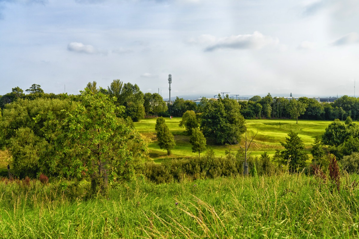 TOLKA VALLEY PARK  NEAR BROOMBRIDGE LUAS STOP - MY FIRST VISIT 039