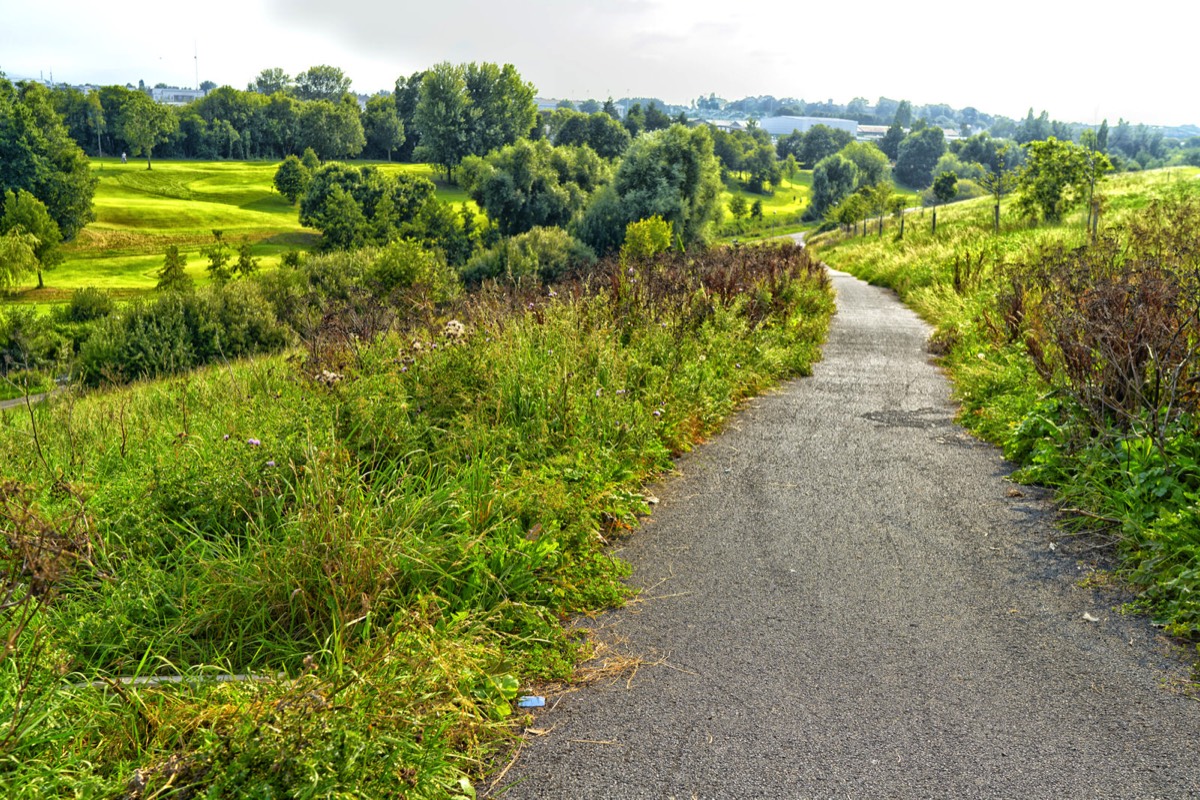 TOLKA VALLEY PARK  NEAR BROOMBRIDGE LUAS STOP - MY FIRST VISIT 041