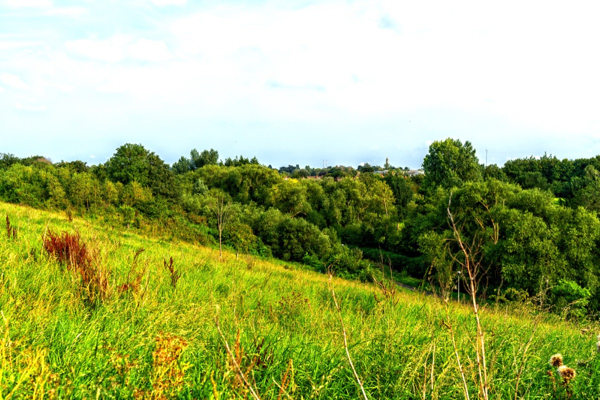 TOLKA VALLEY PARK  NEAR BROOMBRIDGE LUAS STOP - MY FIRST VISIT 042