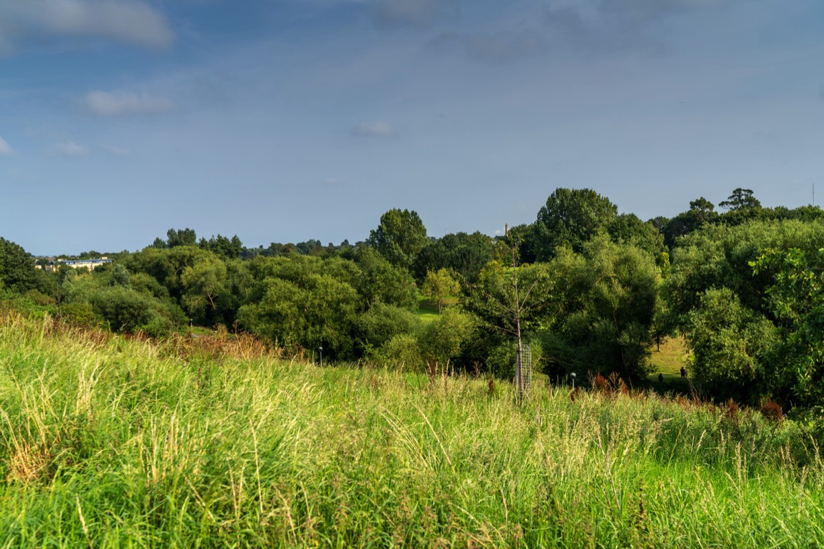 TOLKA VALLEY PARK  NEAR BROOMBRIDGE LUAS STOP - MY FIRST VISIT 043