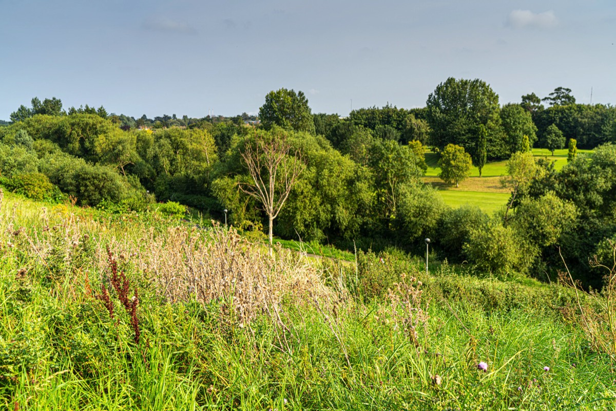 TOLKA VALLEY PARK  NEAR BROOMBRIDGE LUAS STOP - MY FIRST VISIT 044