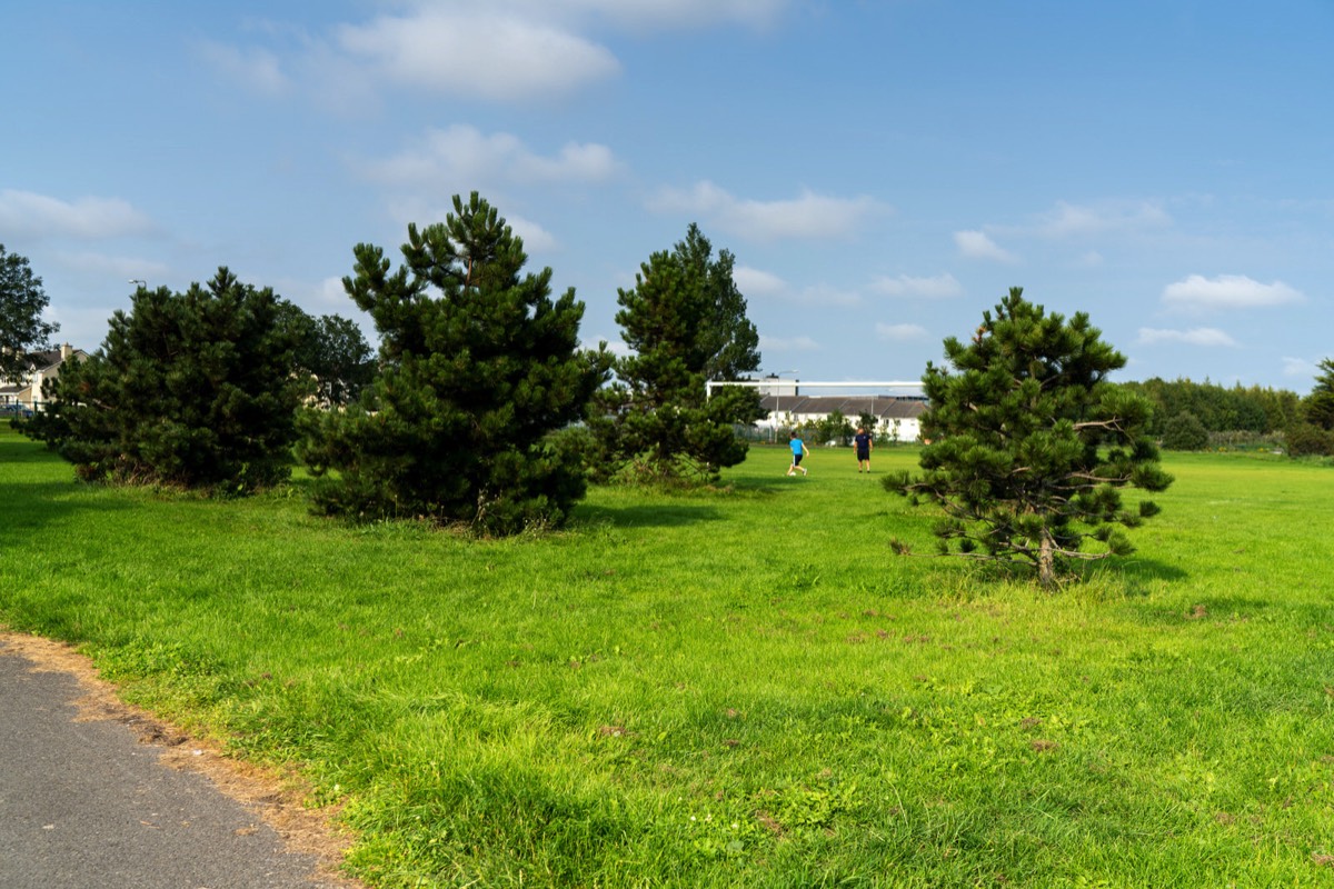 TOLKA VALLEY PARK  NEAR BROOMBRIDGE LUAS STOP - MY FIRST VISIT 046