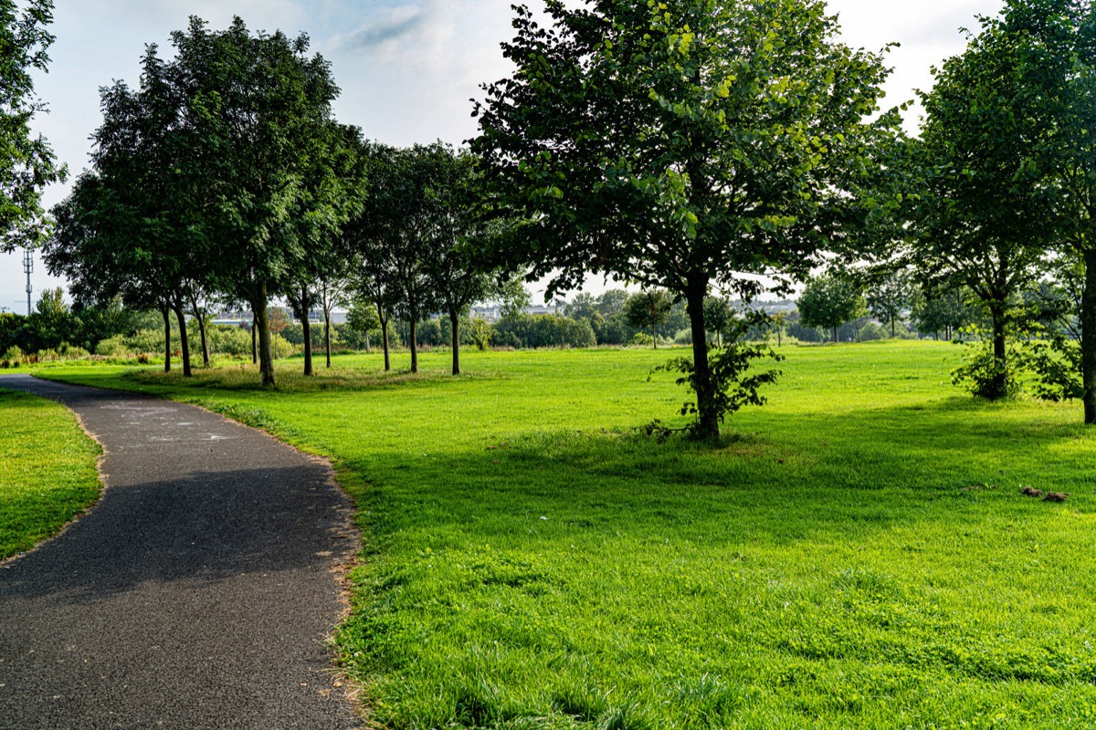 TOLKA VALLEY PARK  NEAR BROOMBRIDGE LUAS STOP - MY FIRST VISIT 047