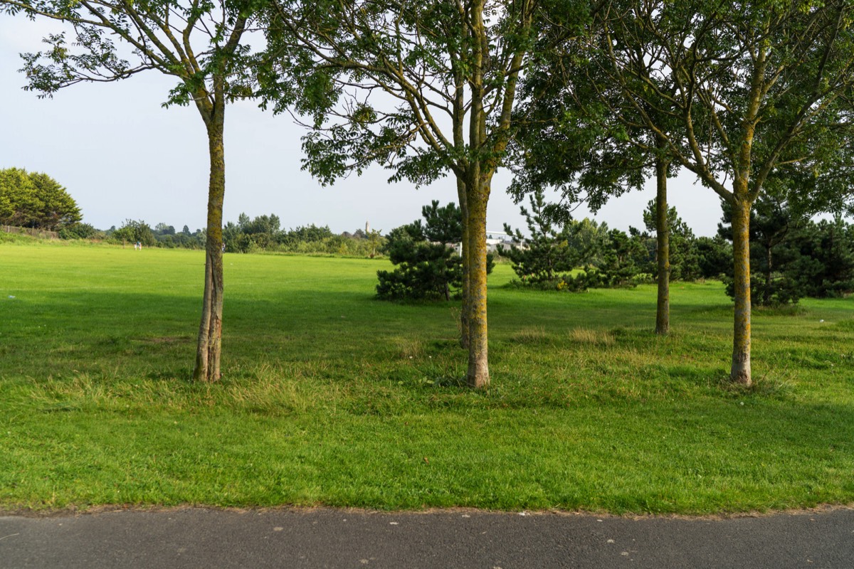 TOLKA VALLEY PARK  NEAR BROOMBRIDGE LUAS STOP - MY FIRST VISIT 048