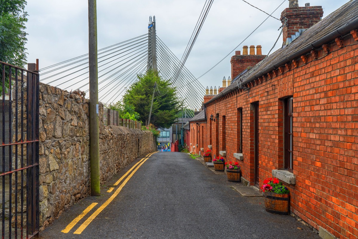 VIEWS OF THE WILLIAM DARGAN BRIDGE IN DUNDRUM 007