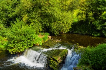  RIVER DODDER NEAR THE MILLTOWN TRAM STOP 