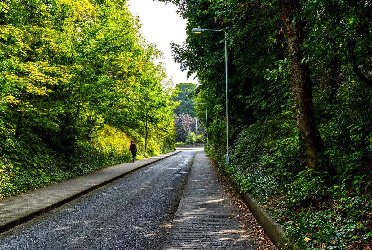 MILLTOWN TRAM STOP - GREEN LINE 008