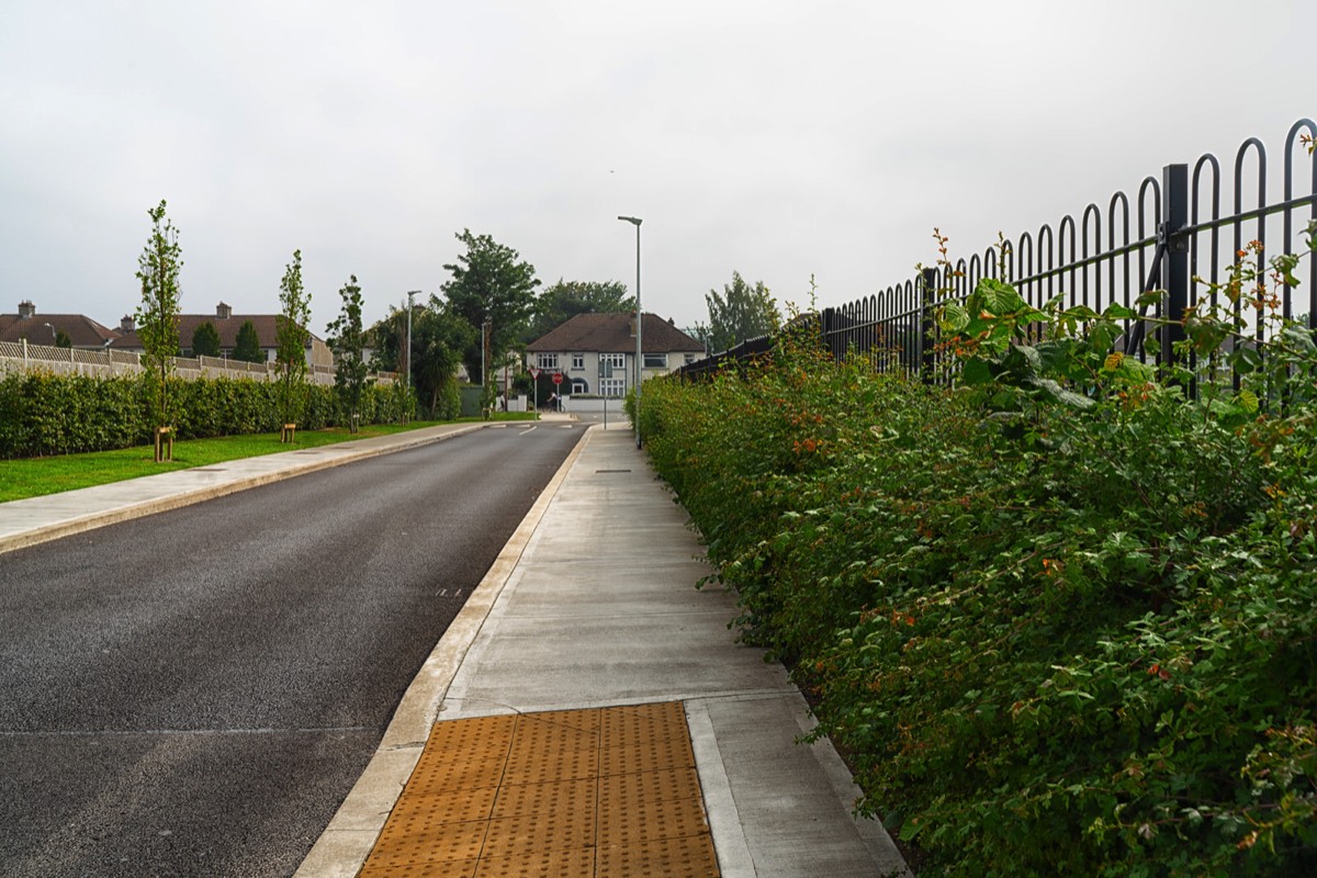 BIRD AVENUE IN CLONSKEAGH 012