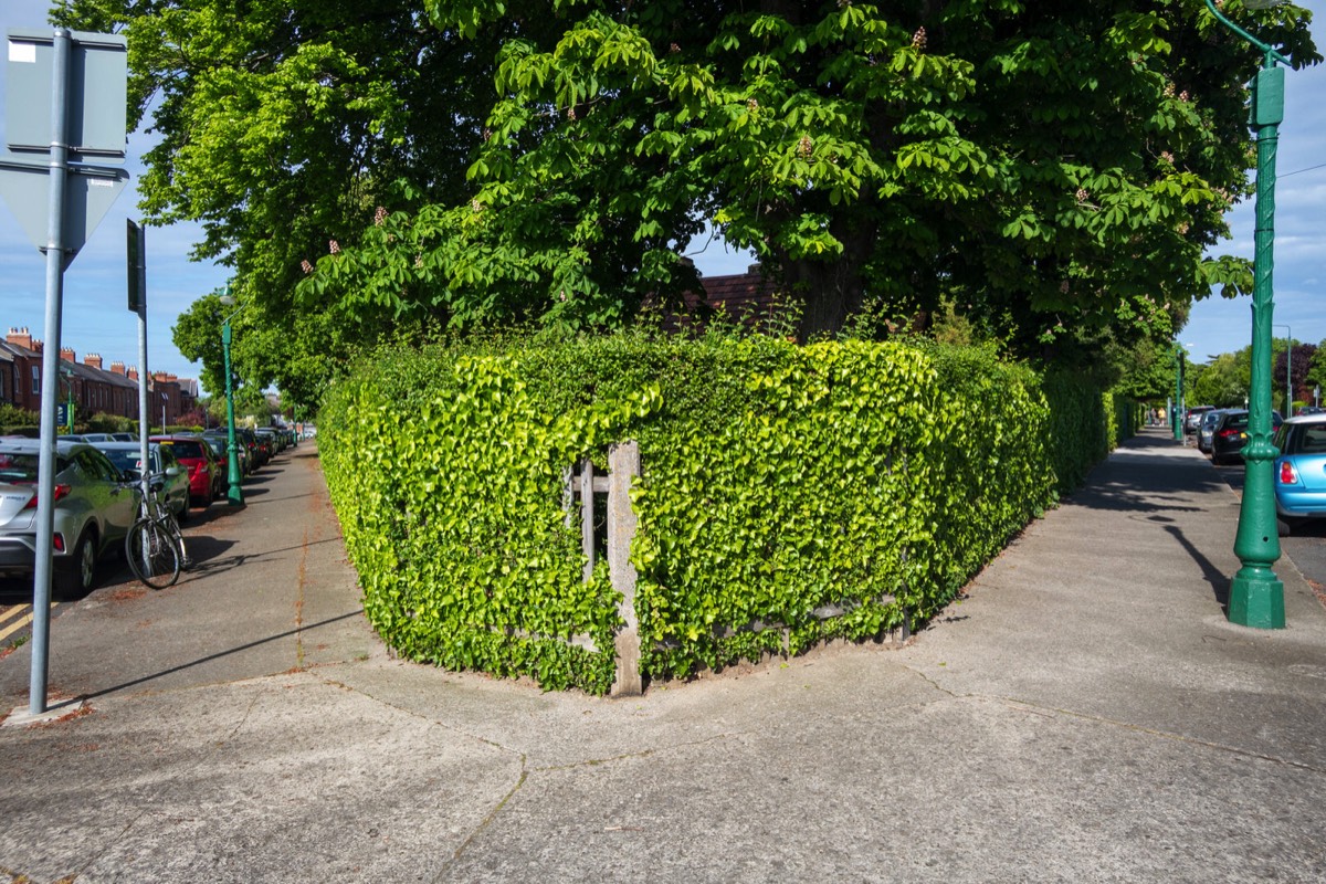 GARVILLE AVENUE CONNECTS BRIGHTON SQUARE TO RATHGAR ROAD 002