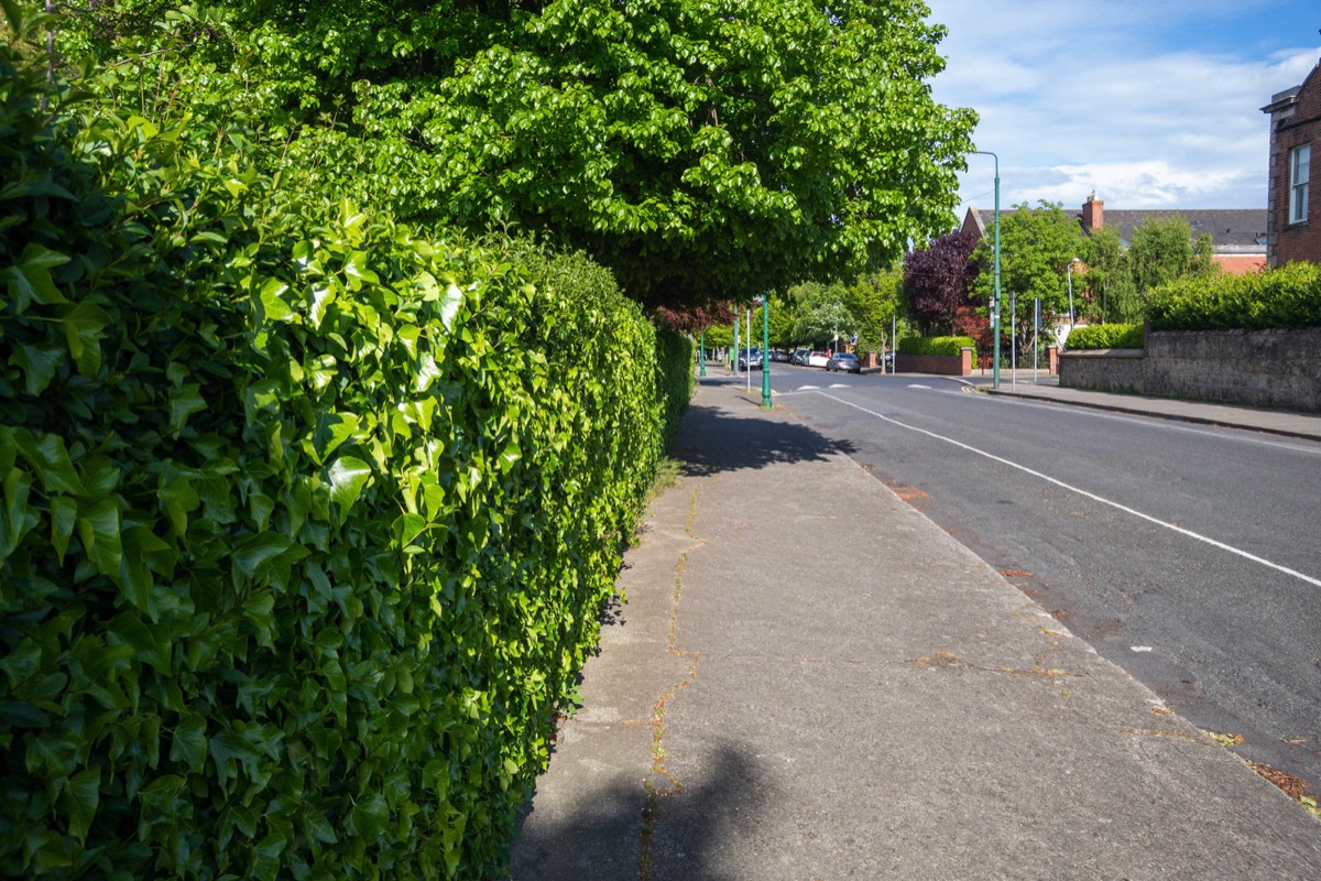 GARVILLE AVENUE CONNECTS BRIGHTON SQUARE TO RATHGAR ROAD 005