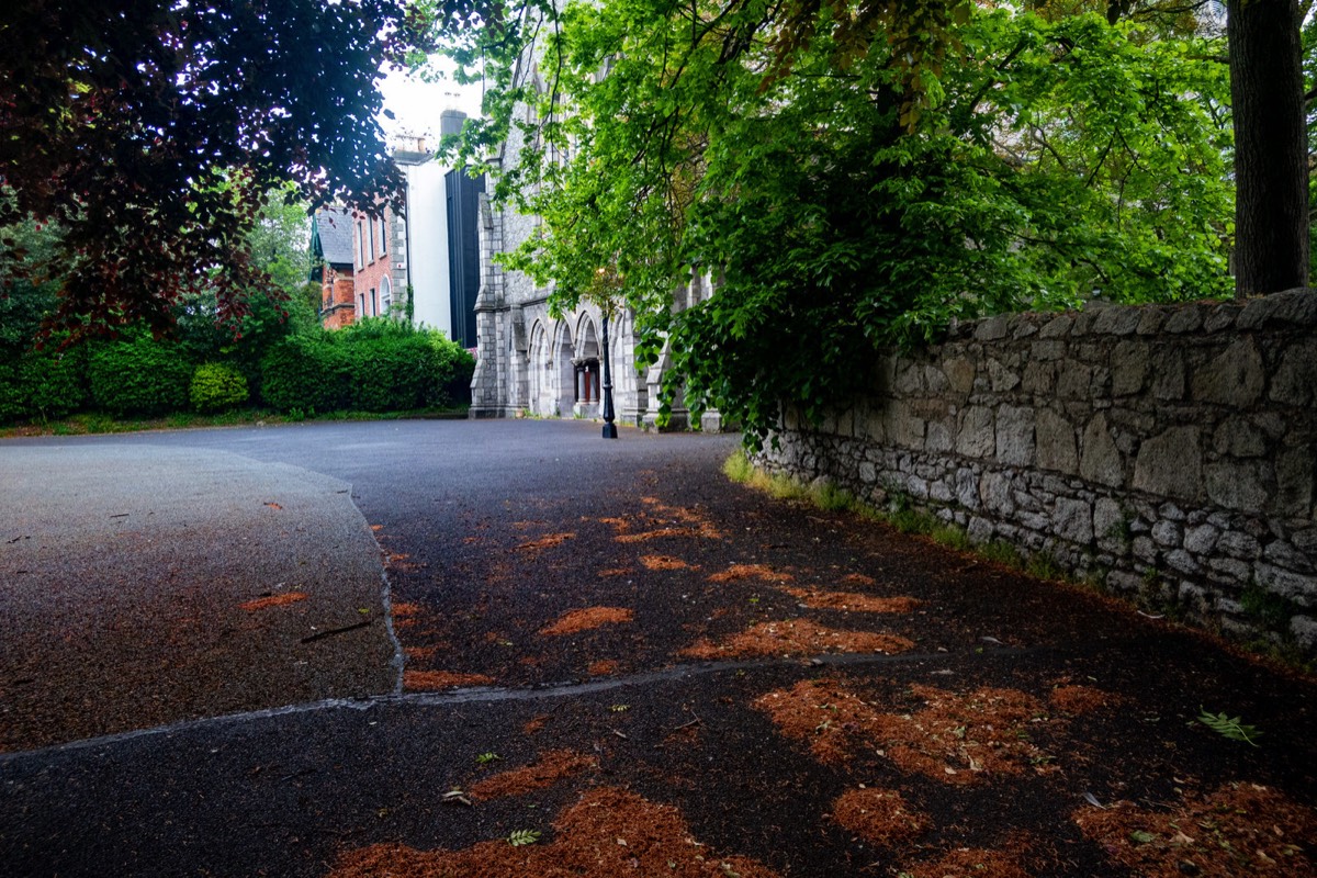 This Baptist Church Is Located In Rathmines  001