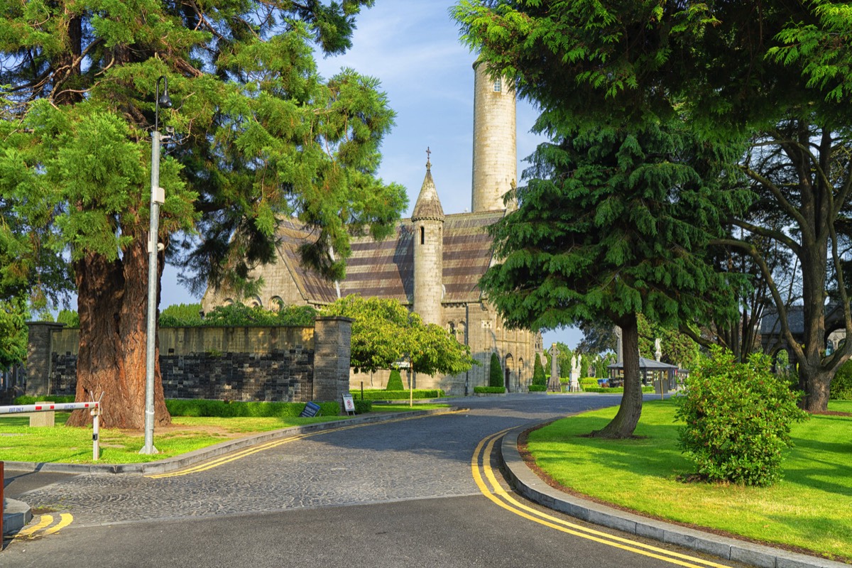 A VISIT TO GLASNEVIN CEMETERY A FEW MINUTES BEFORE IT CLOSED FOR THE DAY 004