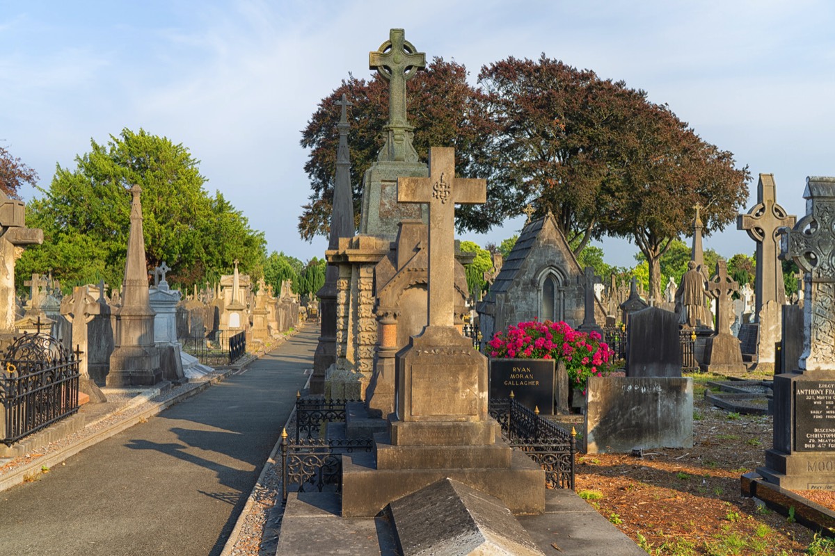 A VISIT TO GLASNEVIN CEMETERY A FEW MINUTES BEFORE IT CLOSED FOR THE DAY 033