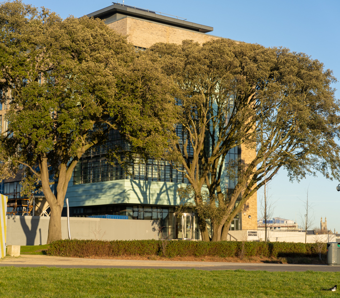 GRANGEGORMAN COLLEGE CAMPUS HAS BEEN RENAMED TU 159470