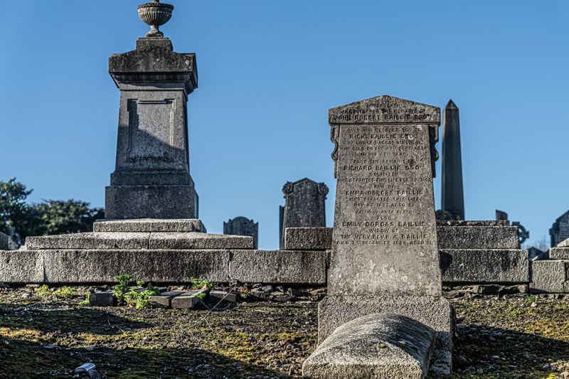 THE DECLINE AND RESTORATION OF A VICTORIAN CEMETERY 159706