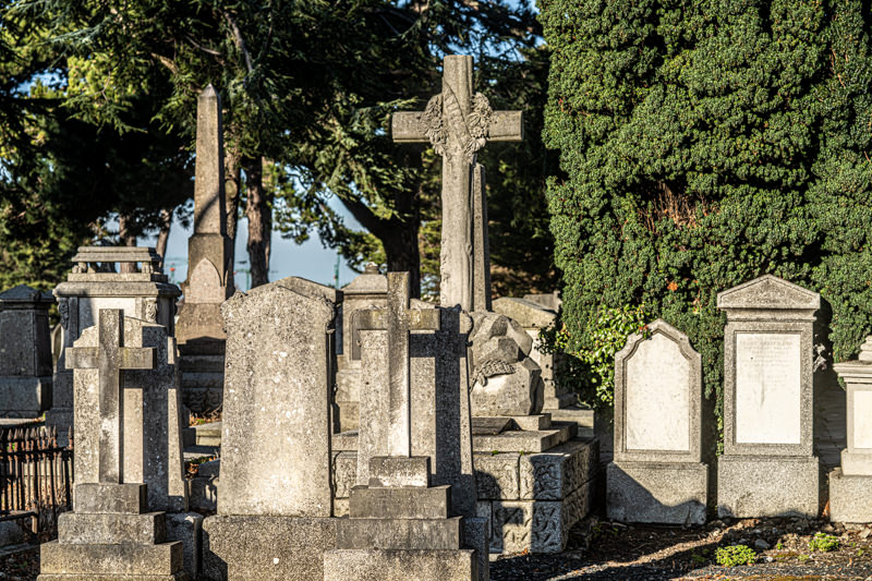 THE DECLINE AND RESTORATION OF A VICTORIAN CEMETERY 159716