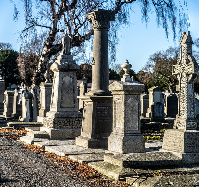 THE DECLINE AND RESTORATION OF A VICTORIAN CEMETERY 159729