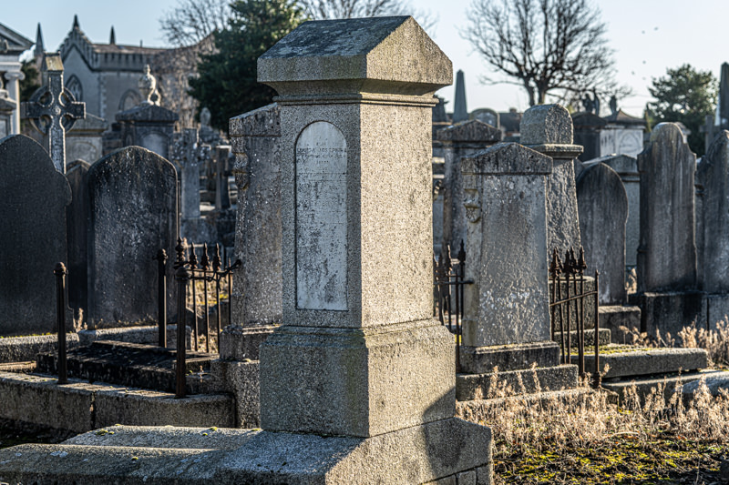 THE DECLINE AND RESTORATION OF A VICTORIAN CEMETERY 159735