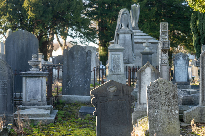 THE DECLINE AND RESTORATION OF A VICTORIAN CEMETERY 159741