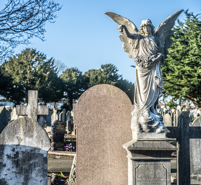 THE DECLINE AND RESTORATION OF A VICTORIAN CEMETERY 159751