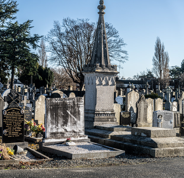 THE DECLINE AND RESTORATION OF A VICTORIAN CEMETERY 159756