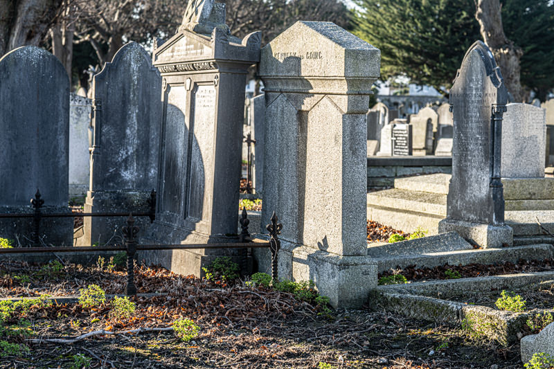 THE DECLINE AND RESTORATION OF A VICTORIAN CEMETERY 159761