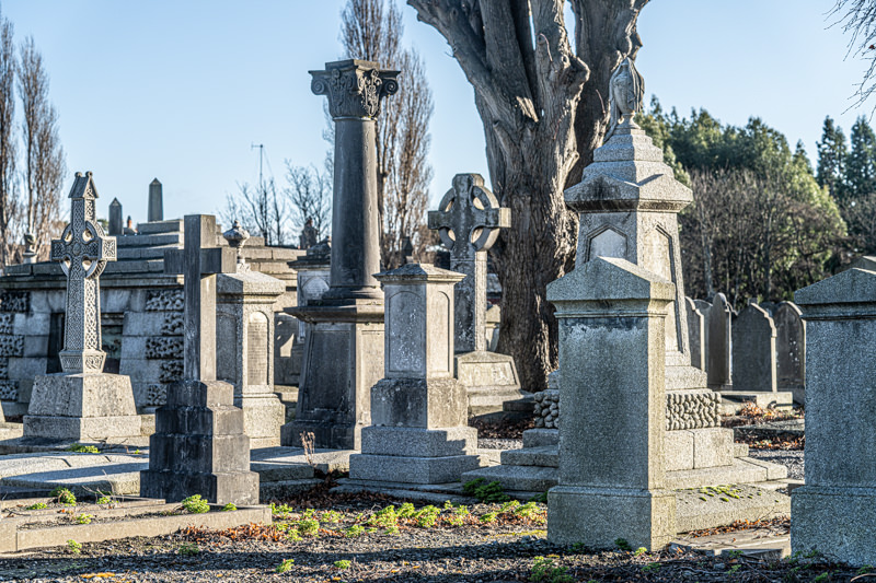 THE DECLINE AND RESTORATION OF A VICTORIAN CEMETERY 159769