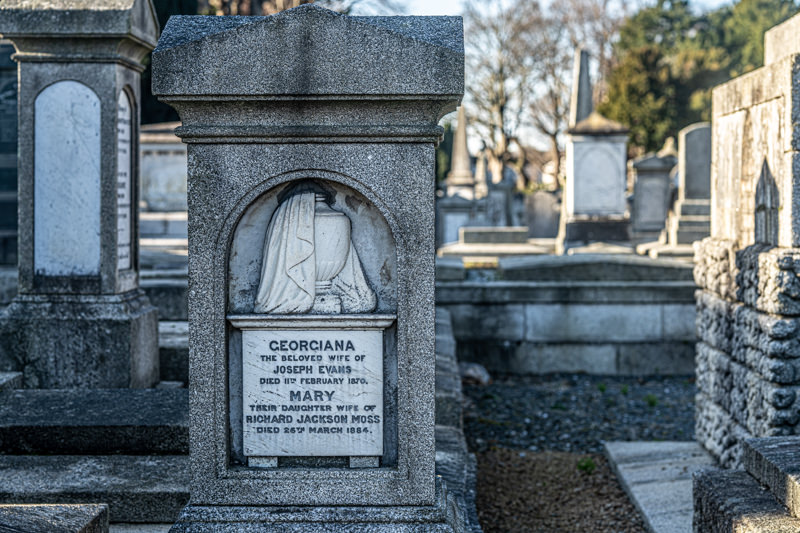 THE DECLINE AND RESTORATION OF A VICTORIAN CEMETERY 159779