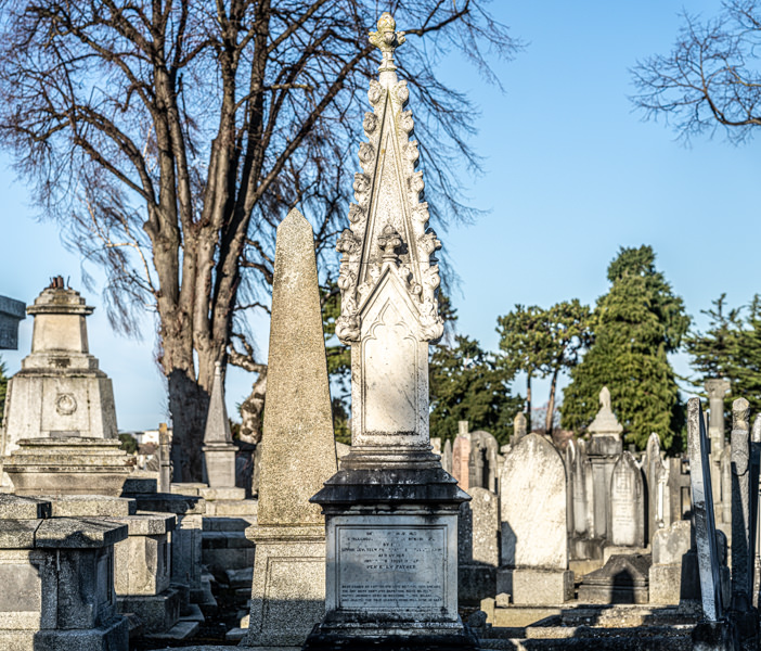 THE DECLINE AND RESTORATION OF A VICTORIAN CEMETERY 159781