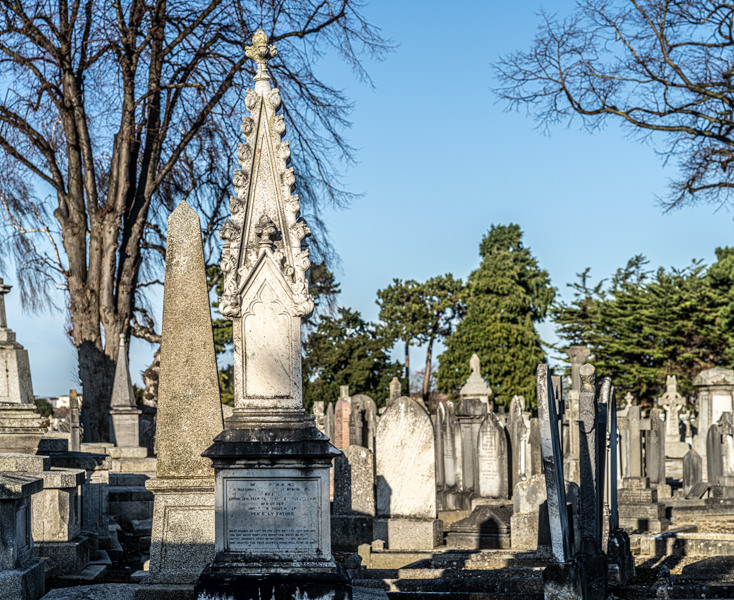 THE DECLINE AND RESTORATION OF A VICTORIAN CEMETERY 159784