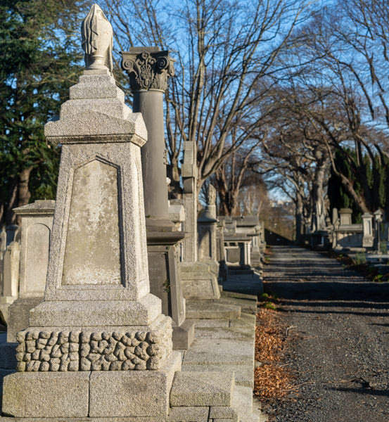 THE DECLINE AND RESTORATION OF A VICTORIAN CEMETERY 159793